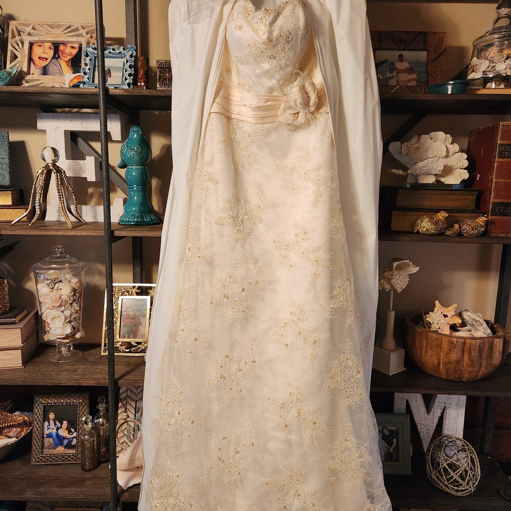 Elegant Ivory and Gold Embroidered Gown